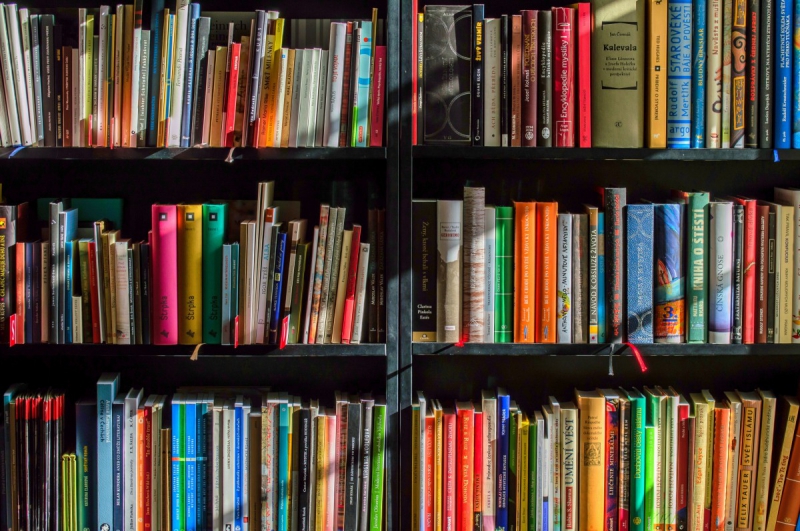magasin-FONTAN-min_books_bookstore_book_reading_shop_writer_sale_books_read-822866